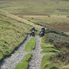 woodgen > Blog Slideshow-1 photo