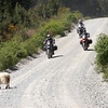woodgen > Blog Slideshow-1 photo